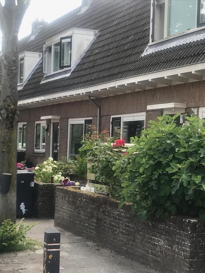 Het Zonnetje Apartamento Zandvoort Exterior foto
